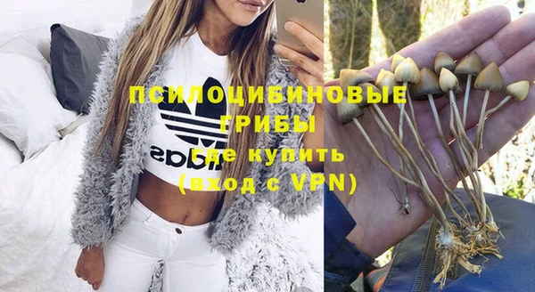 синтетический гашиш Ладушкин