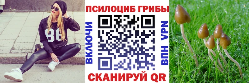 Псилоцибиновые грибы мухоморы  где купить наркоту  Геленджик 
