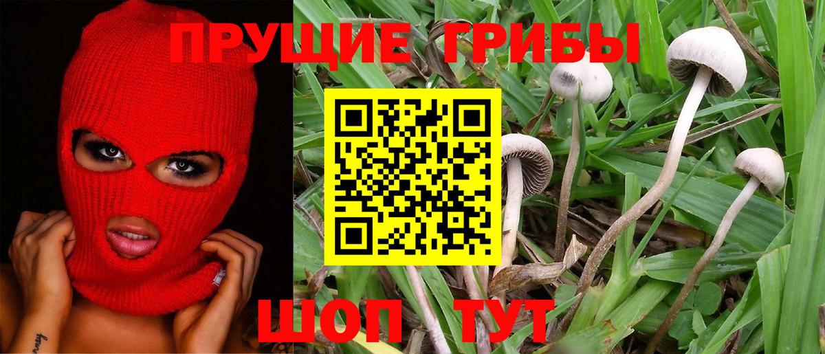 Геленджик  Галлюциногенные грибы Magic Shrooms  Вход с VPN  Псилоцибиновые грибы Magic Shrooms 