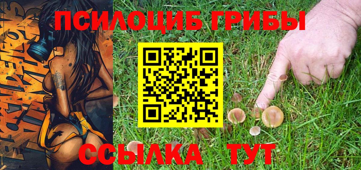 Галлюциногенные грибы Cubensis Геленджик