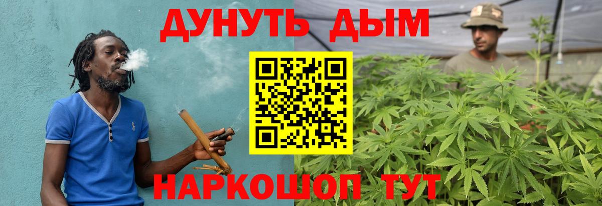 Канабис сатива Геленджик